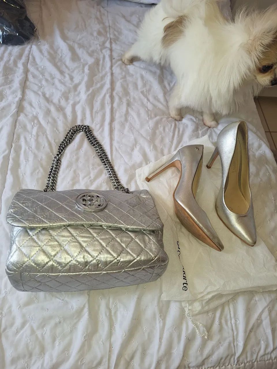 Bolsa capodarte olivia  na cor prata
