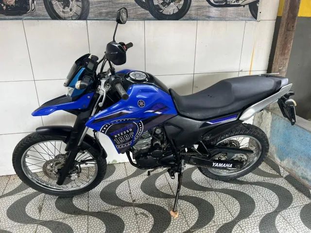 Lander 250 - 2022 - Foto 2
