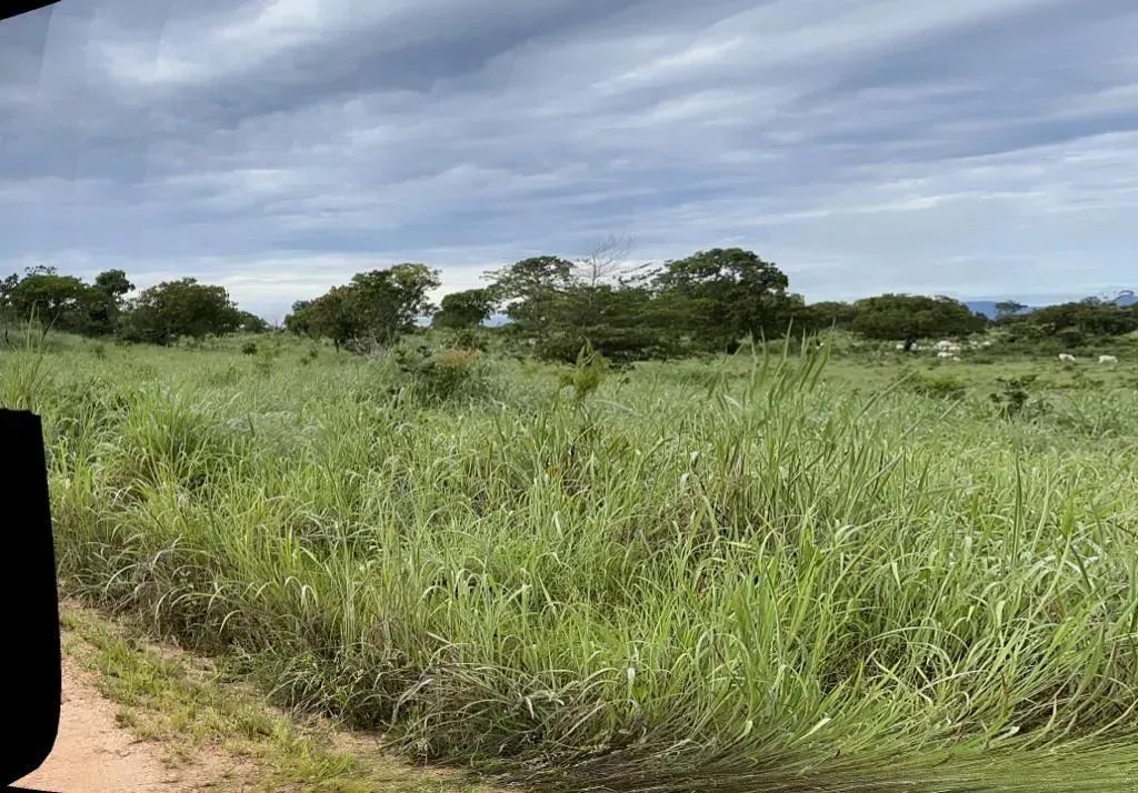 Fazenda a venda, em Monte Alegre de Goias! - Foto 4