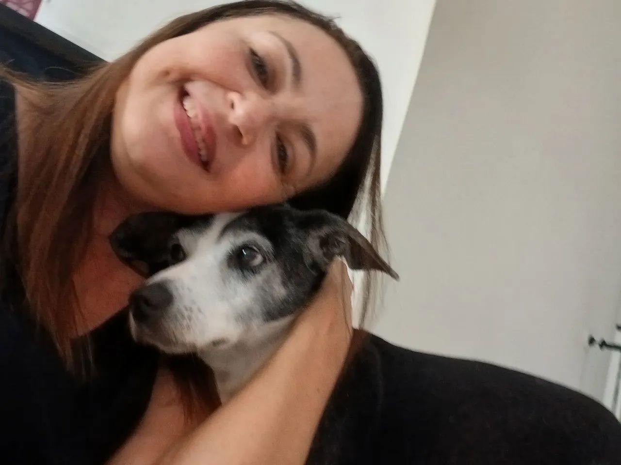 Babá de PET _ Petsitter  - Foto 4