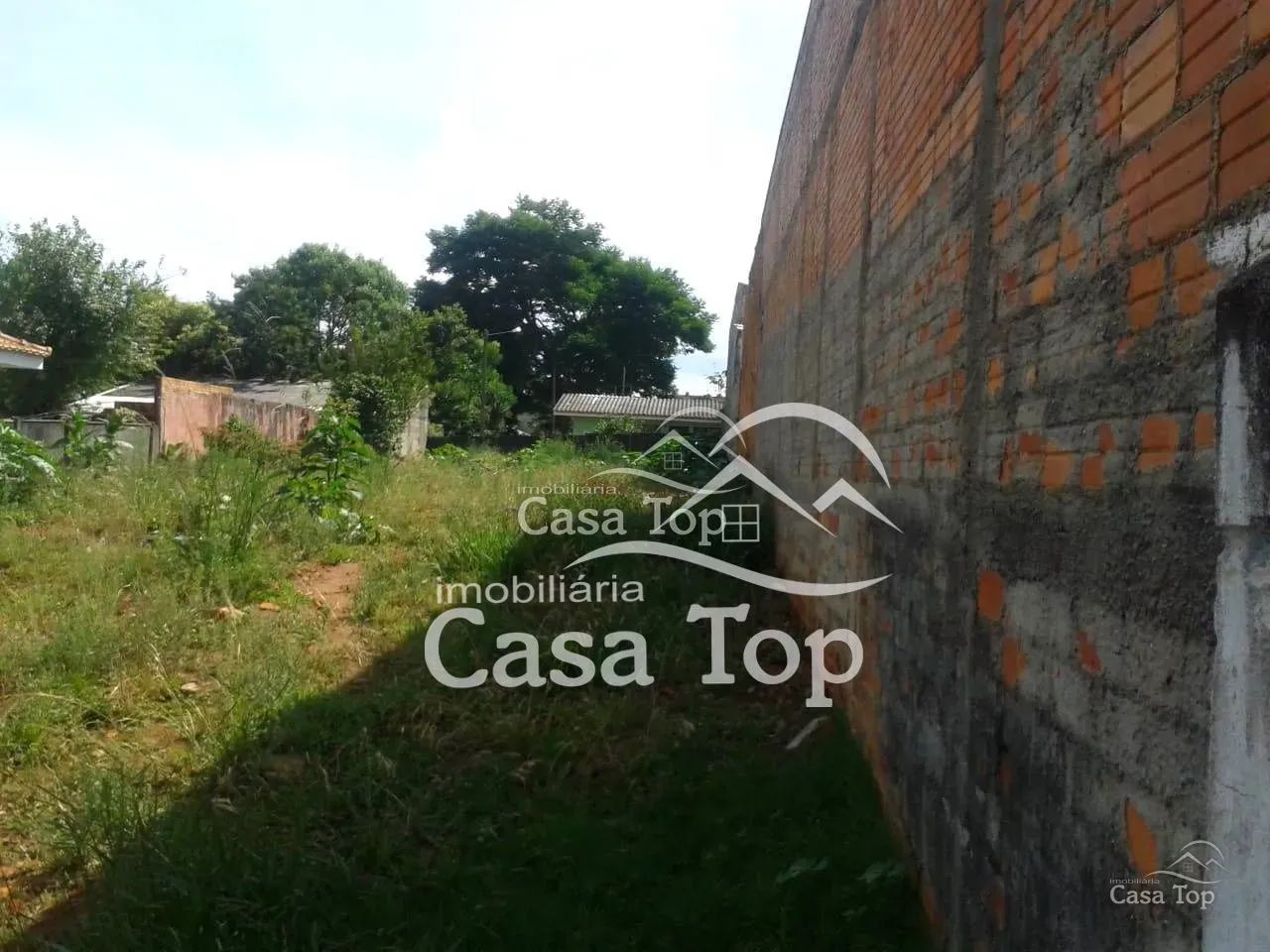 Terreno à venda em Uvaranas - Foto 4