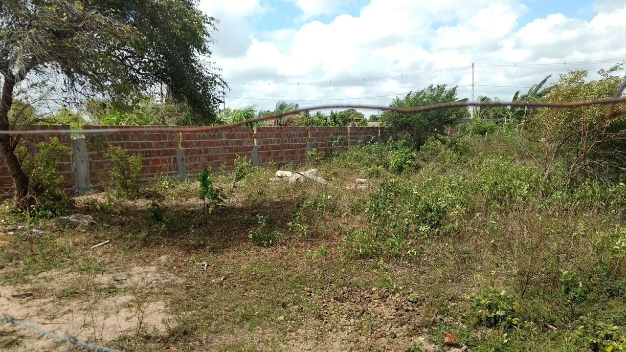 Terreno em São Gonçalo do Amarante  - Foto 4