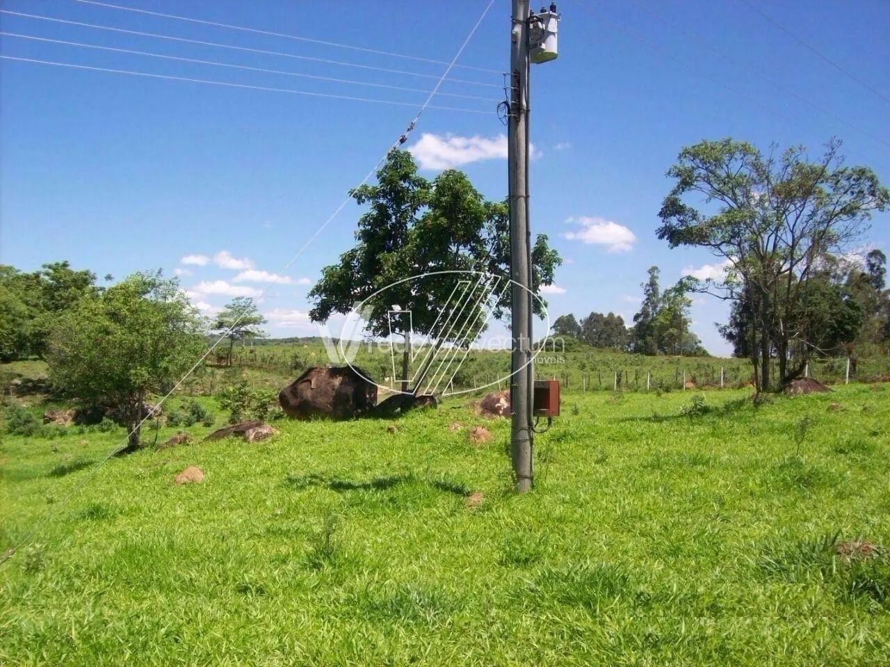 sítio - Jardim Carlos Gomes - Campinas - Foto 3