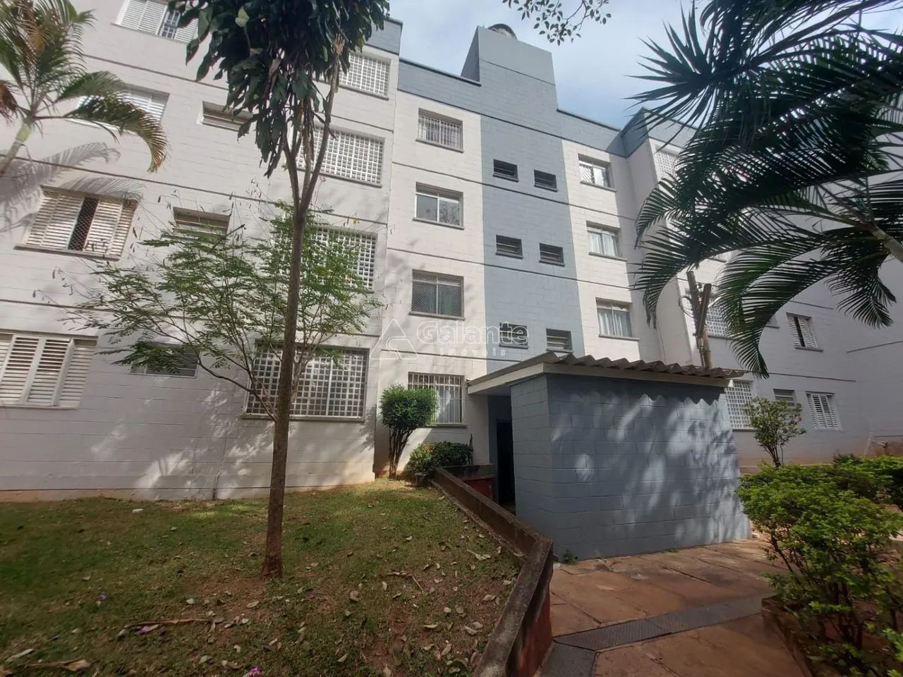 apartamento - Vila Mimosa - Campinas