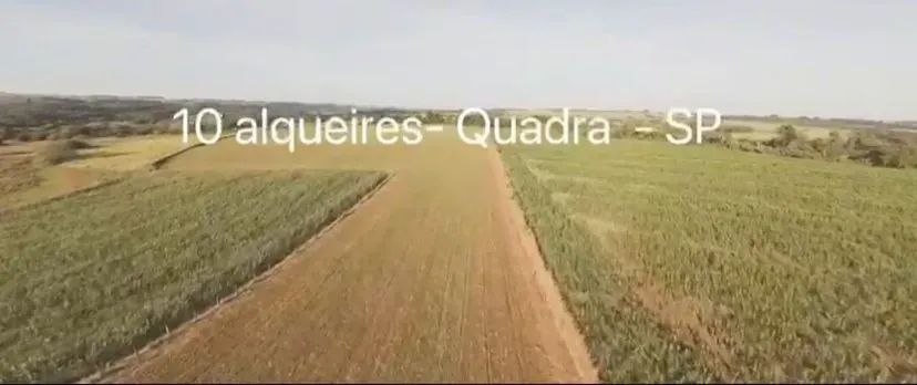 Sítio de 10 Alqueires em Quadra - SP - Foto 4