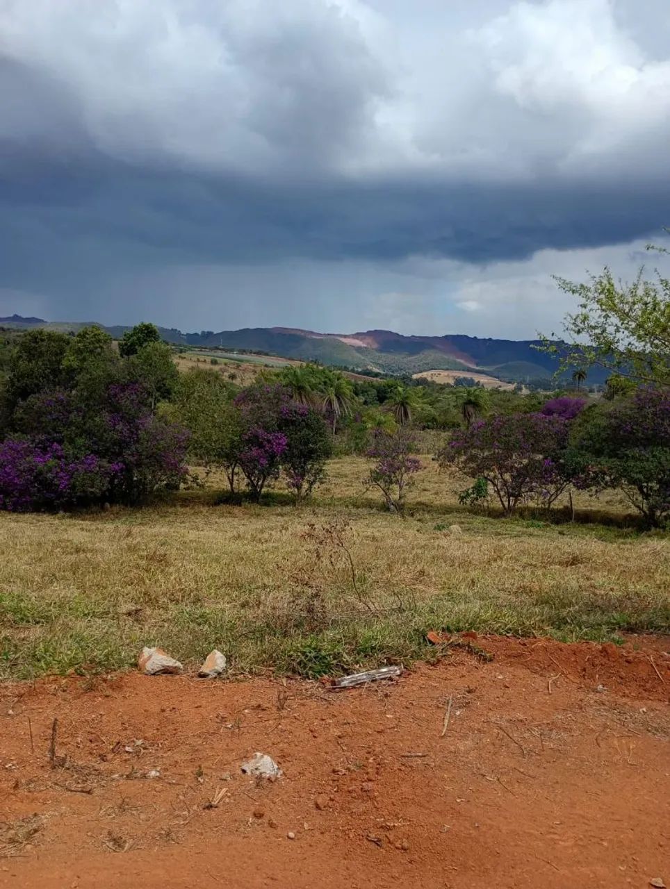 Terreno em serra azul Mateus leme  - Foto 2
