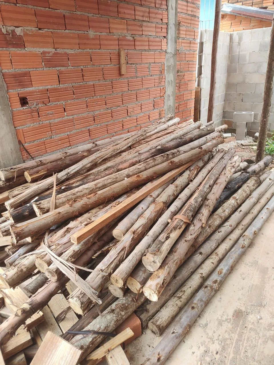 Bracatinga e escora de eucalipto  - Foto 3