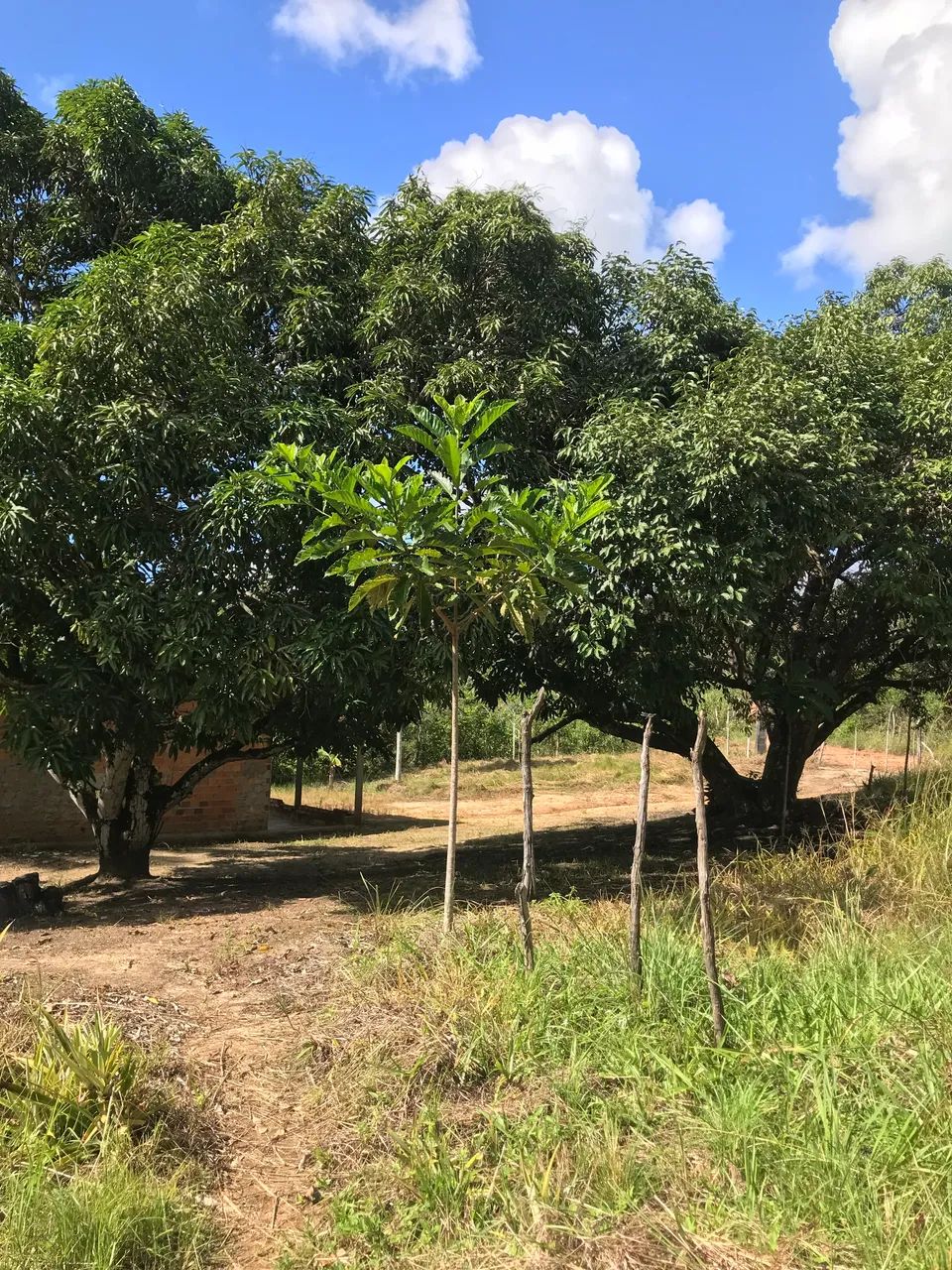 VENDO OU TROCO EM CASA EM ARACAJU - Foto 5