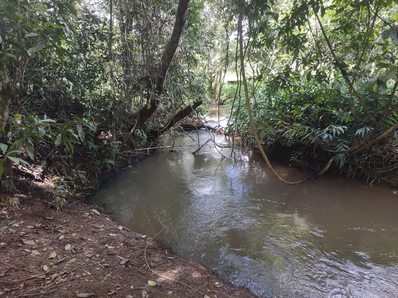Terreno 2.000m² Ribeirão sozinha