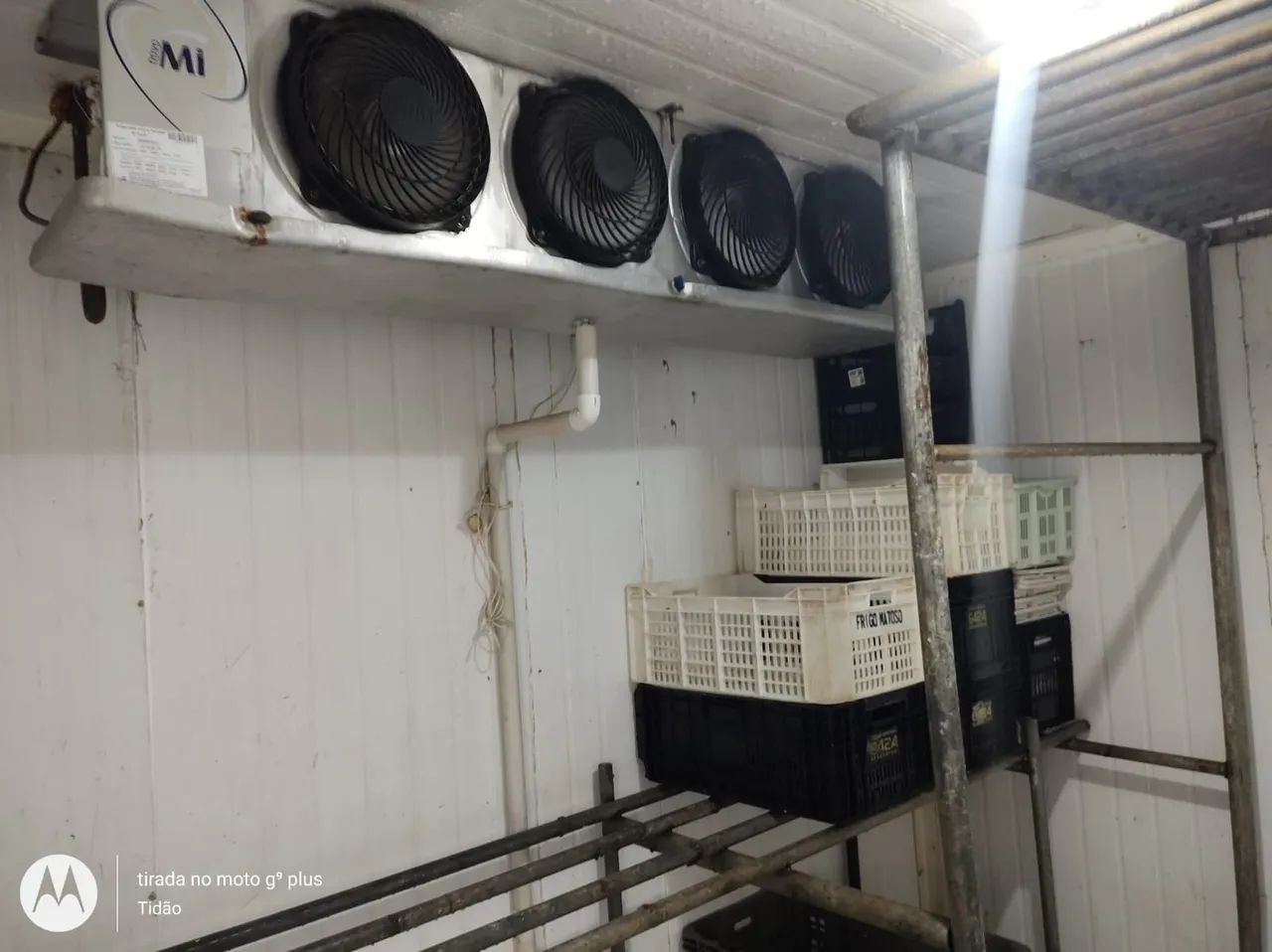 Câmara frigorífica  - Foto 4