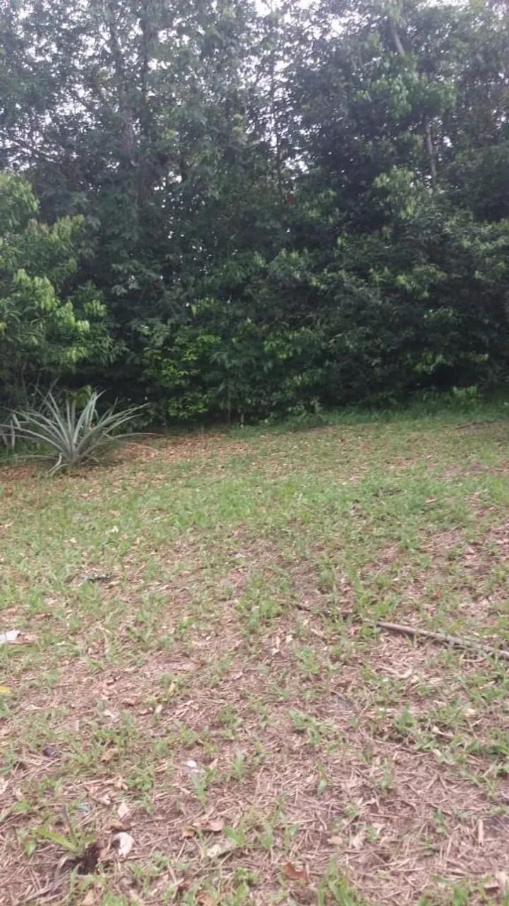 Terreno Portuário outeiro - Foto 5