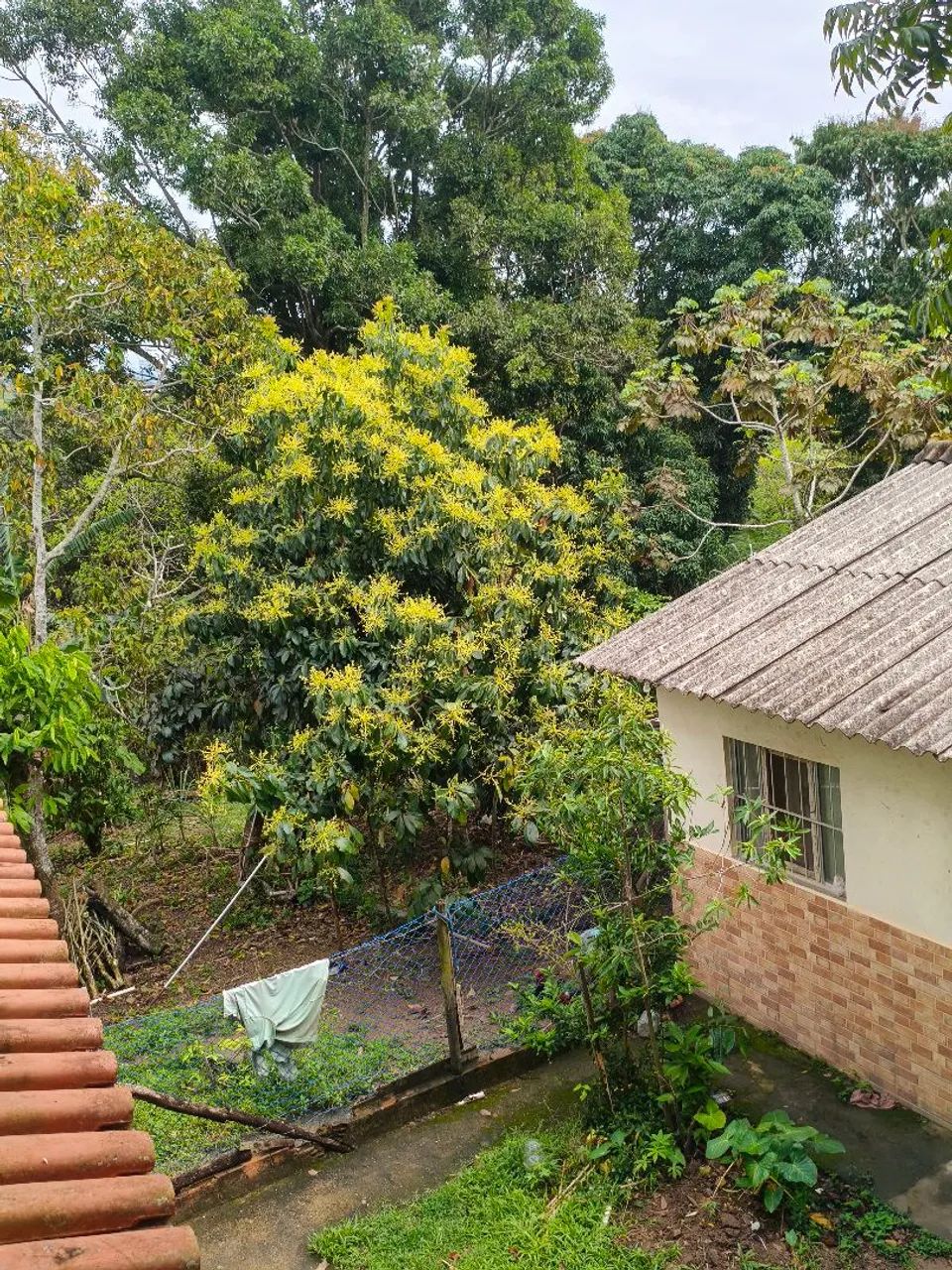 Sítio com 10.000m², 2 casas, pomar - Village do Sol, Guarapari - Foto 5