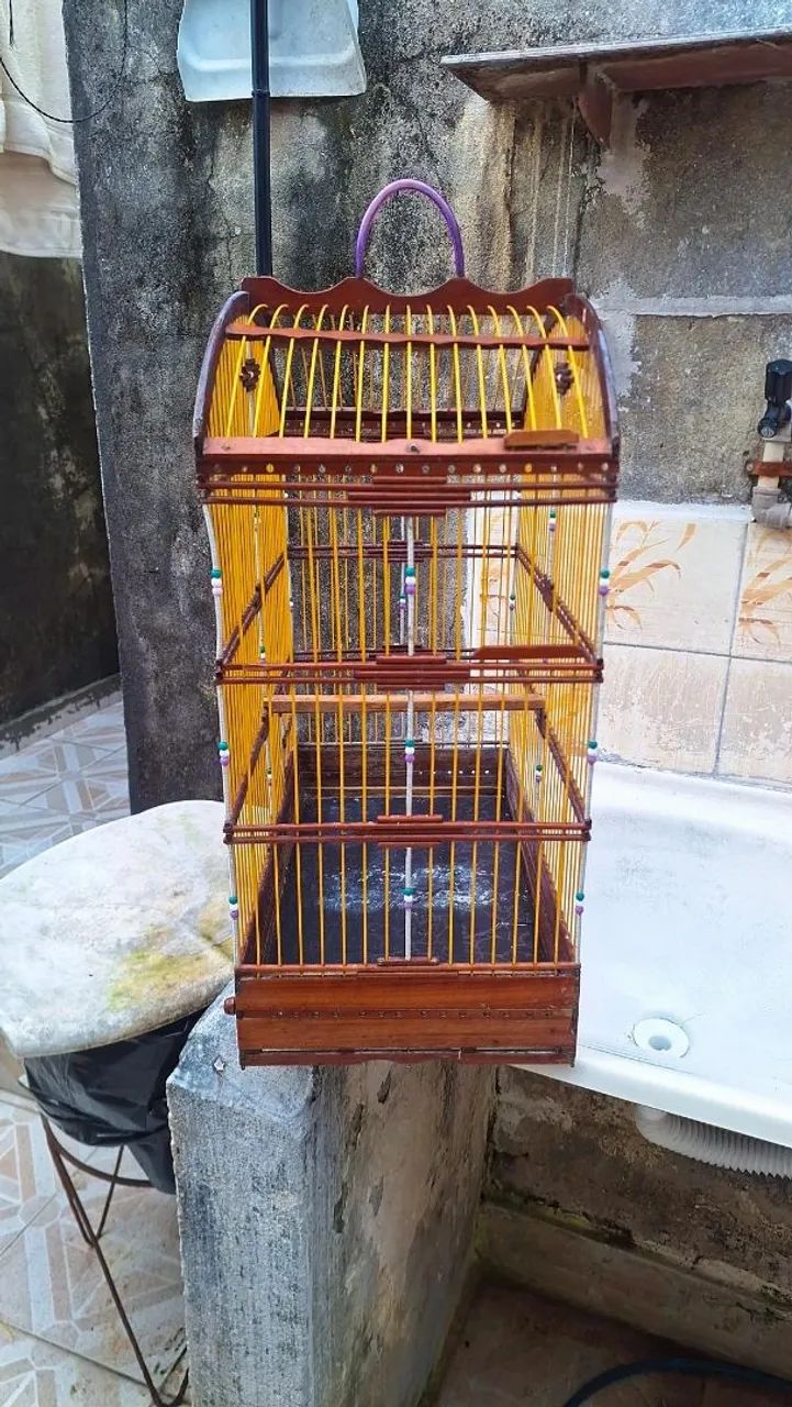 Gaiola  - Foto 2