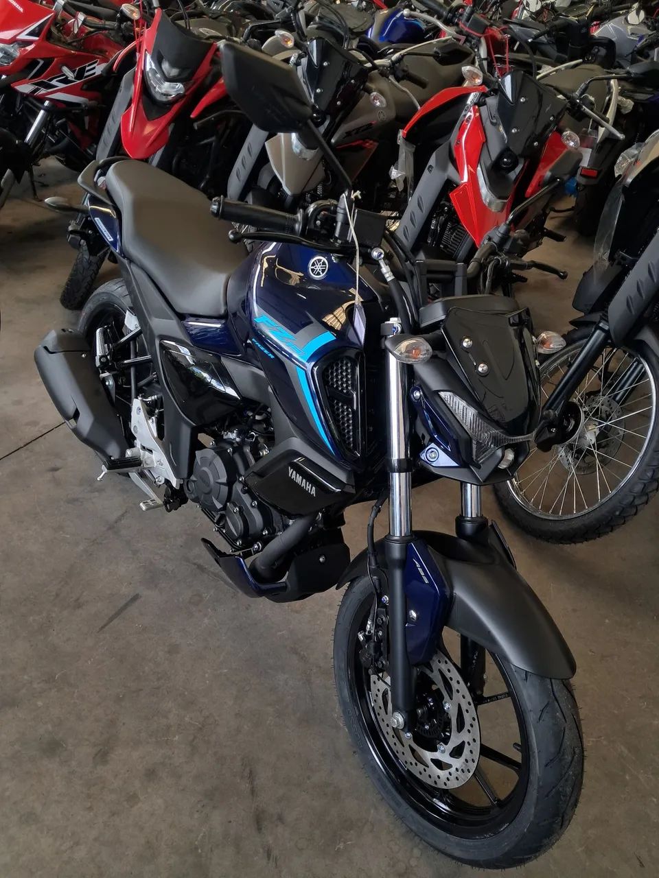 FZ 15 2026