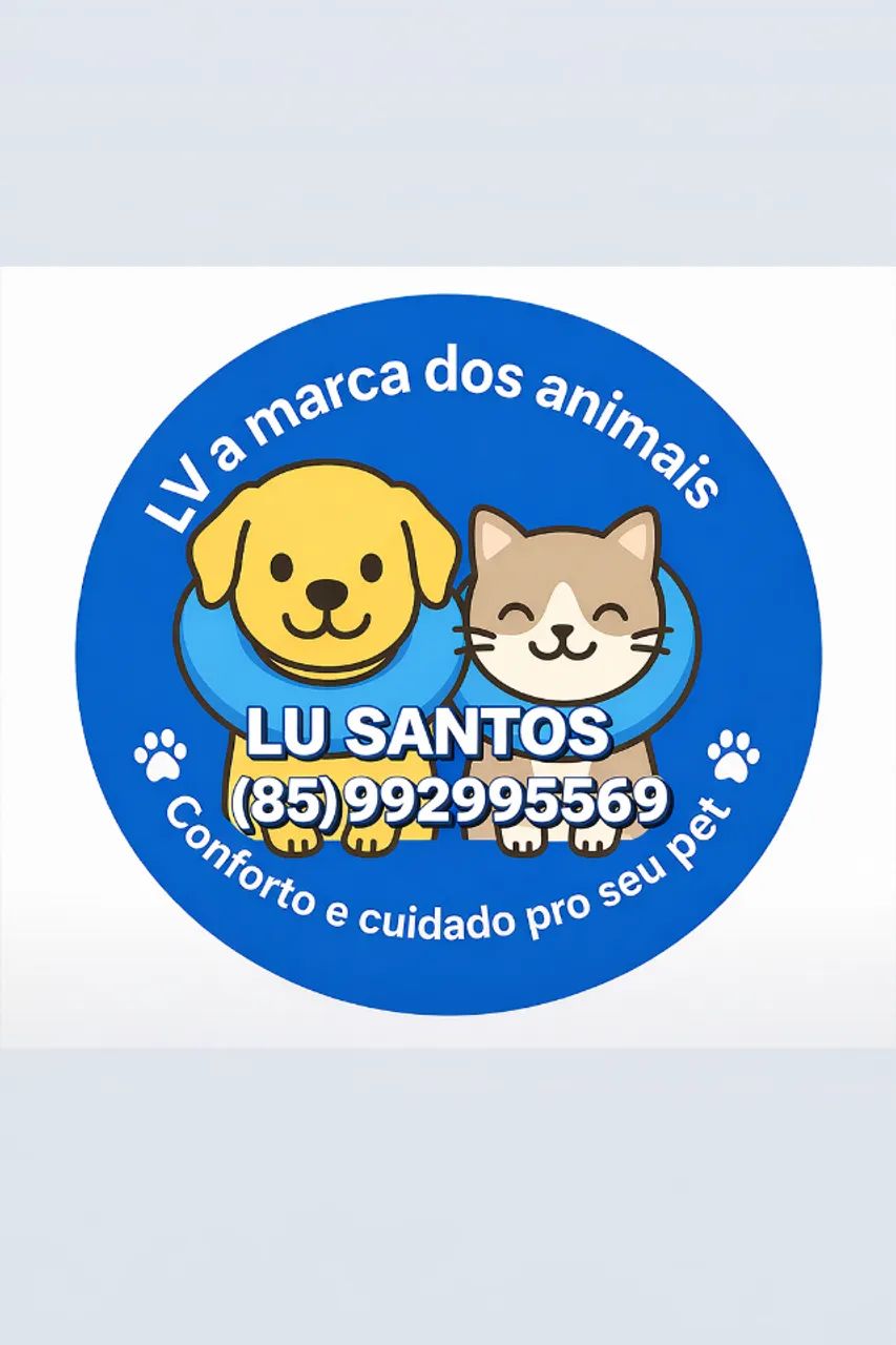 Colar de proteção cirúrgica  - Foto 4