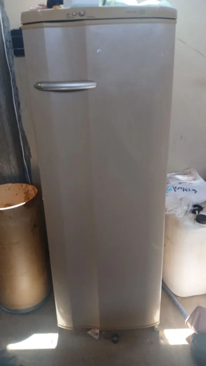 Geladeira eletrolux 