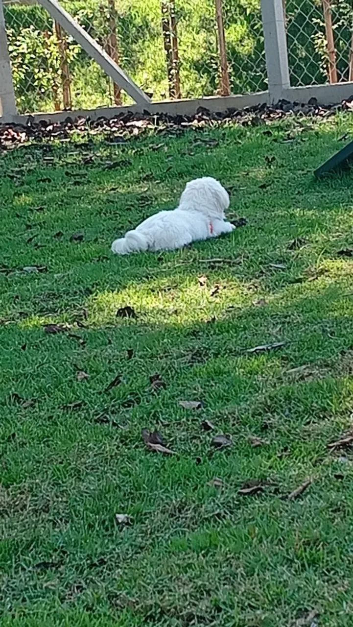 Procurando uma namorada  - Foto 5