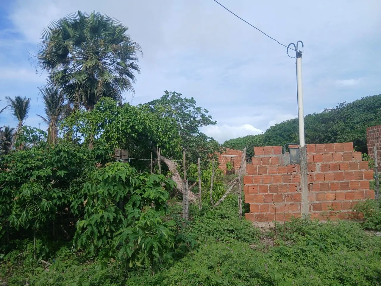 Foto - Parnaíba - 