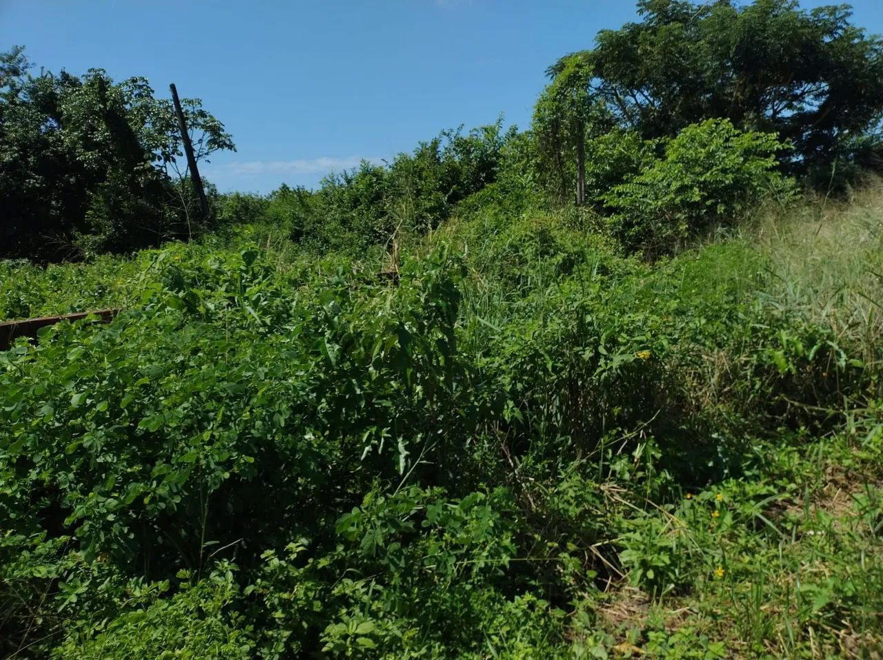 Sítio na Zona norte potengi - Foto 2