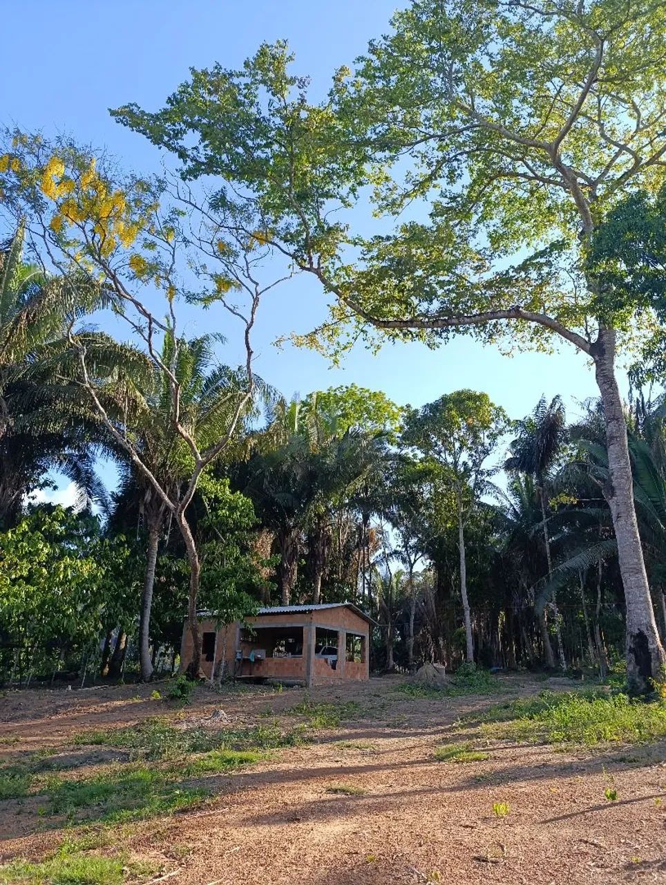 Vendo  - Foto 4