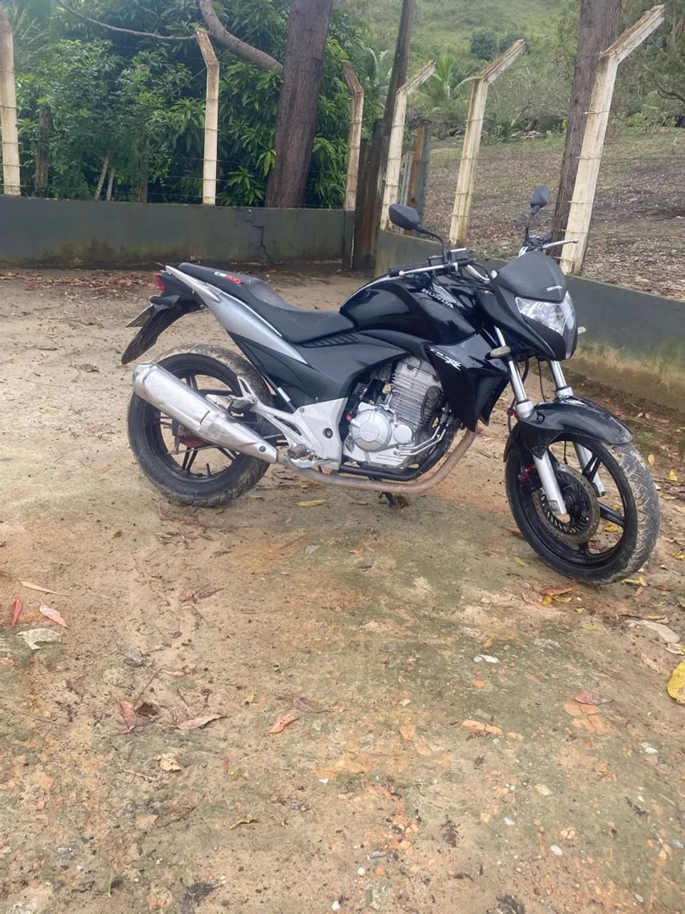 Cb300  - Foto 2