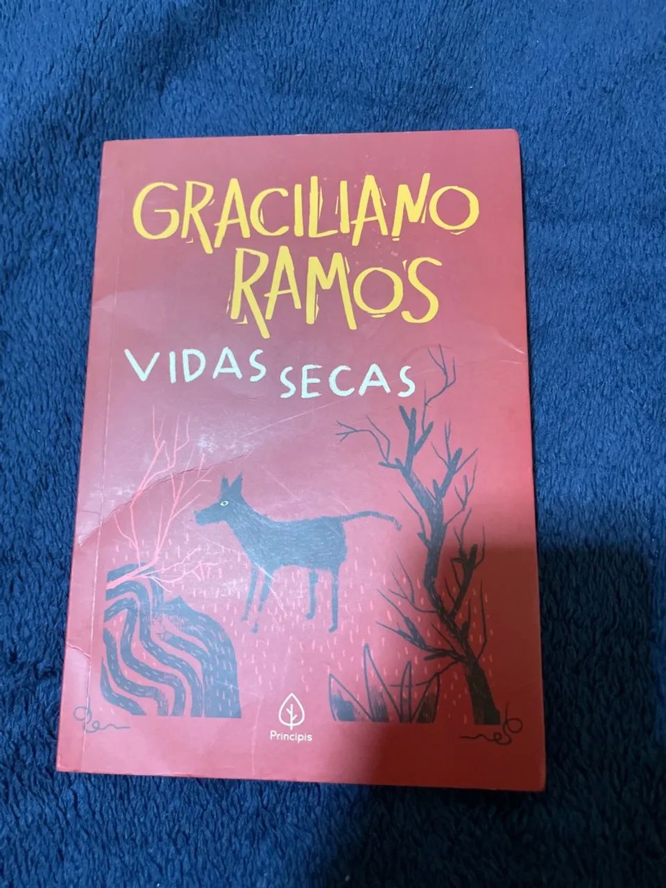 Livro Vidas Secas 