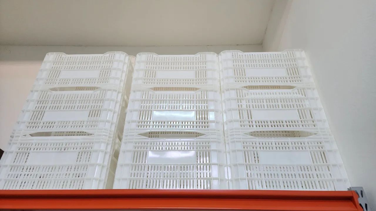20 Caixas Agrícolas PEAD Virgem para congelamento e hortifruti 