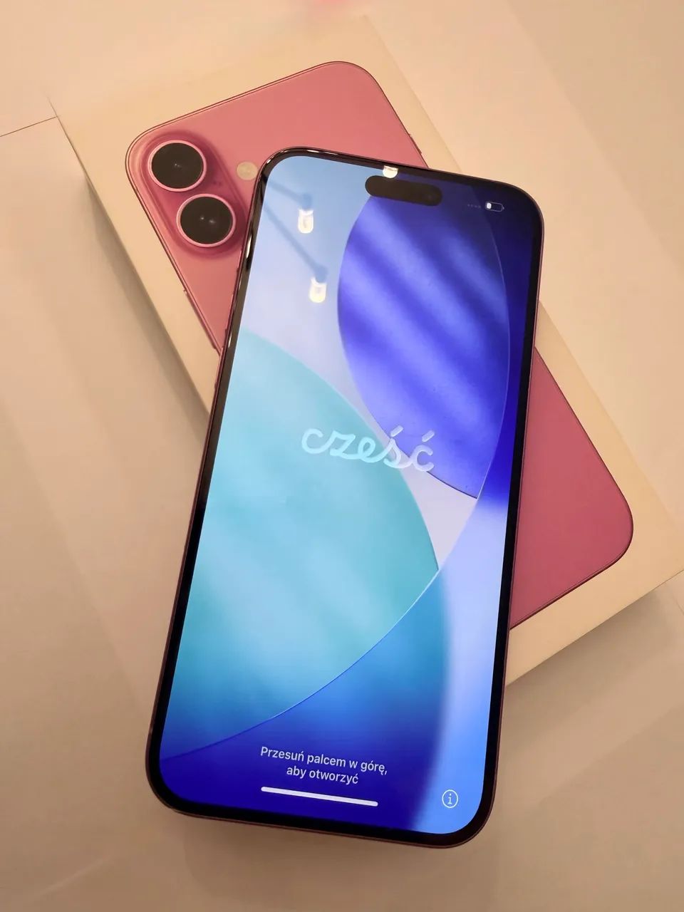 iPhone 16 Plus 128GB (8meses uso)