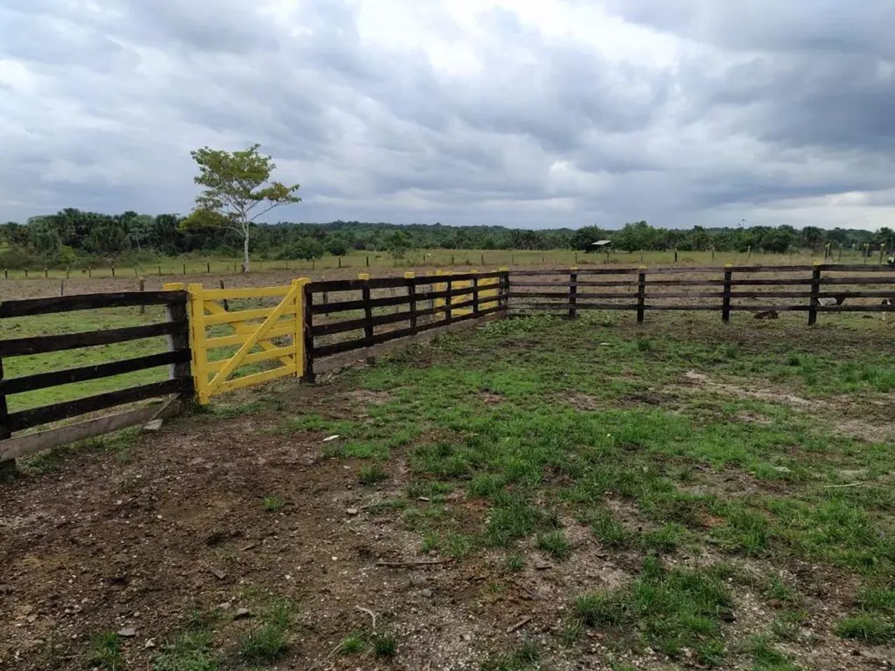 Fazenda com 733 hectares para pecuária - Foto 5