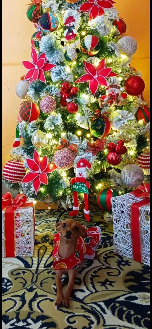 Árvore de Natal de 1,80 - Foto 3