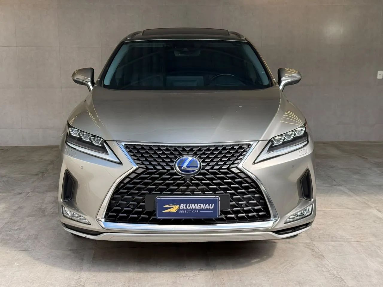 Lexus RX-450h Luxury 3.5 24V V6 Aut.(hybrid), foto 2 de 17