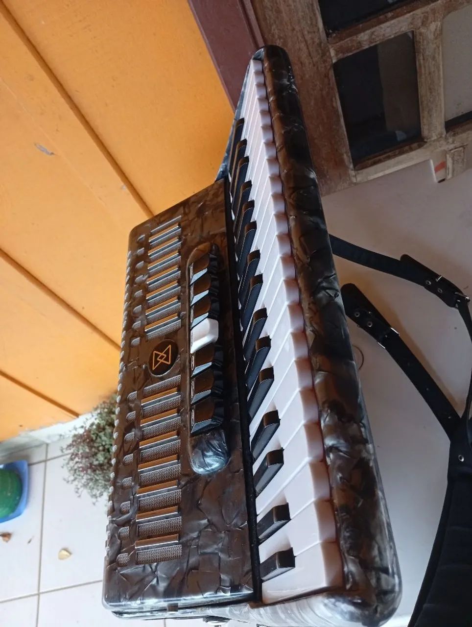 Acordeon  - Foto 3