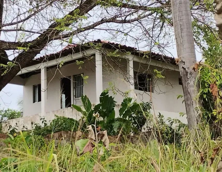 Lote para Venda em Cabo de Santo Agostinho - Foto 5