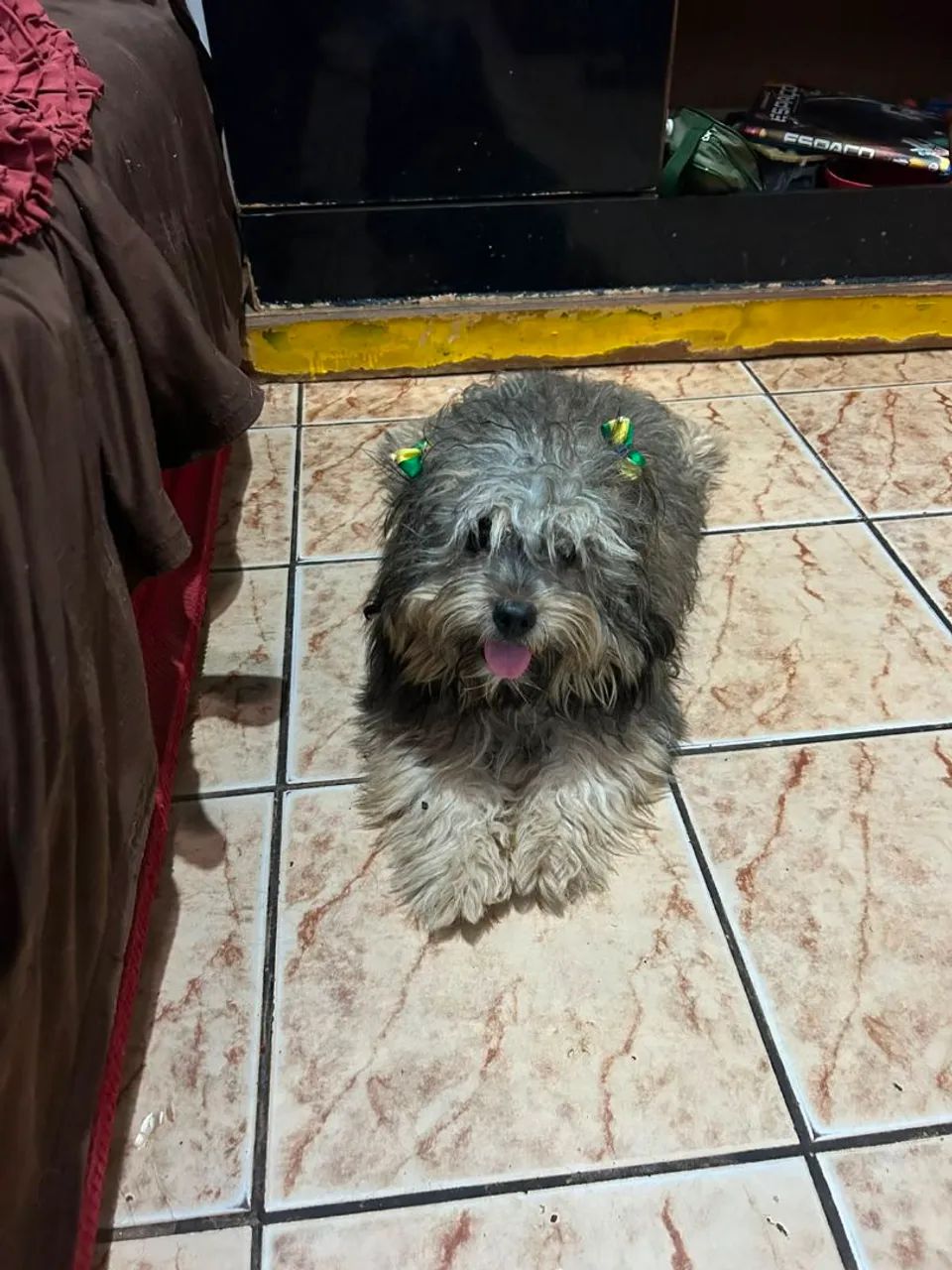 Doação  - Foto 3