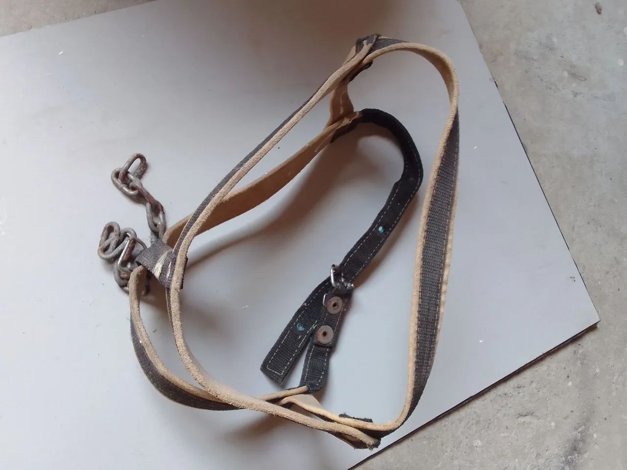 Peitoral para cães 64993721260289124