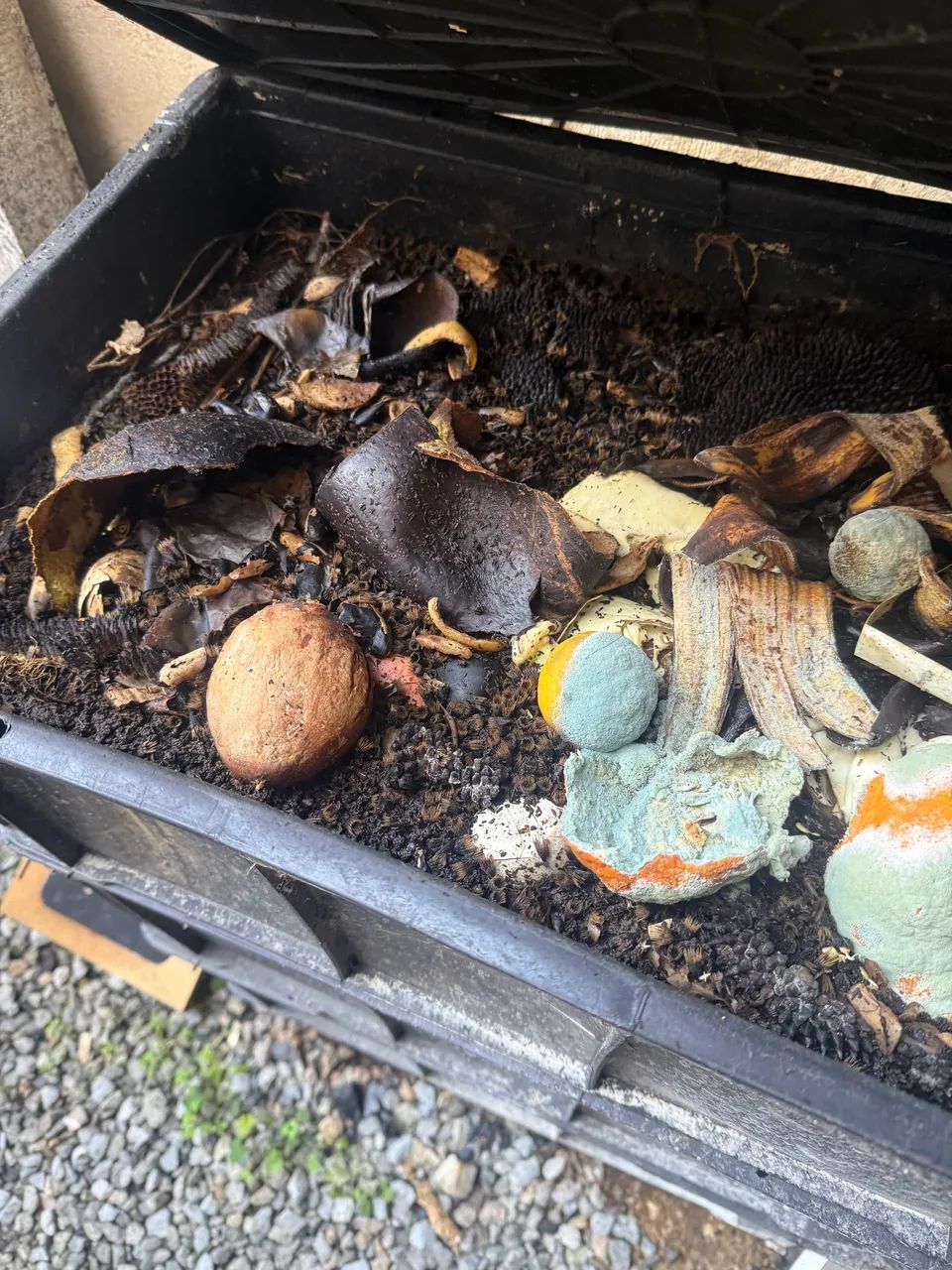 Compostagem para minhocas  - Foto 2