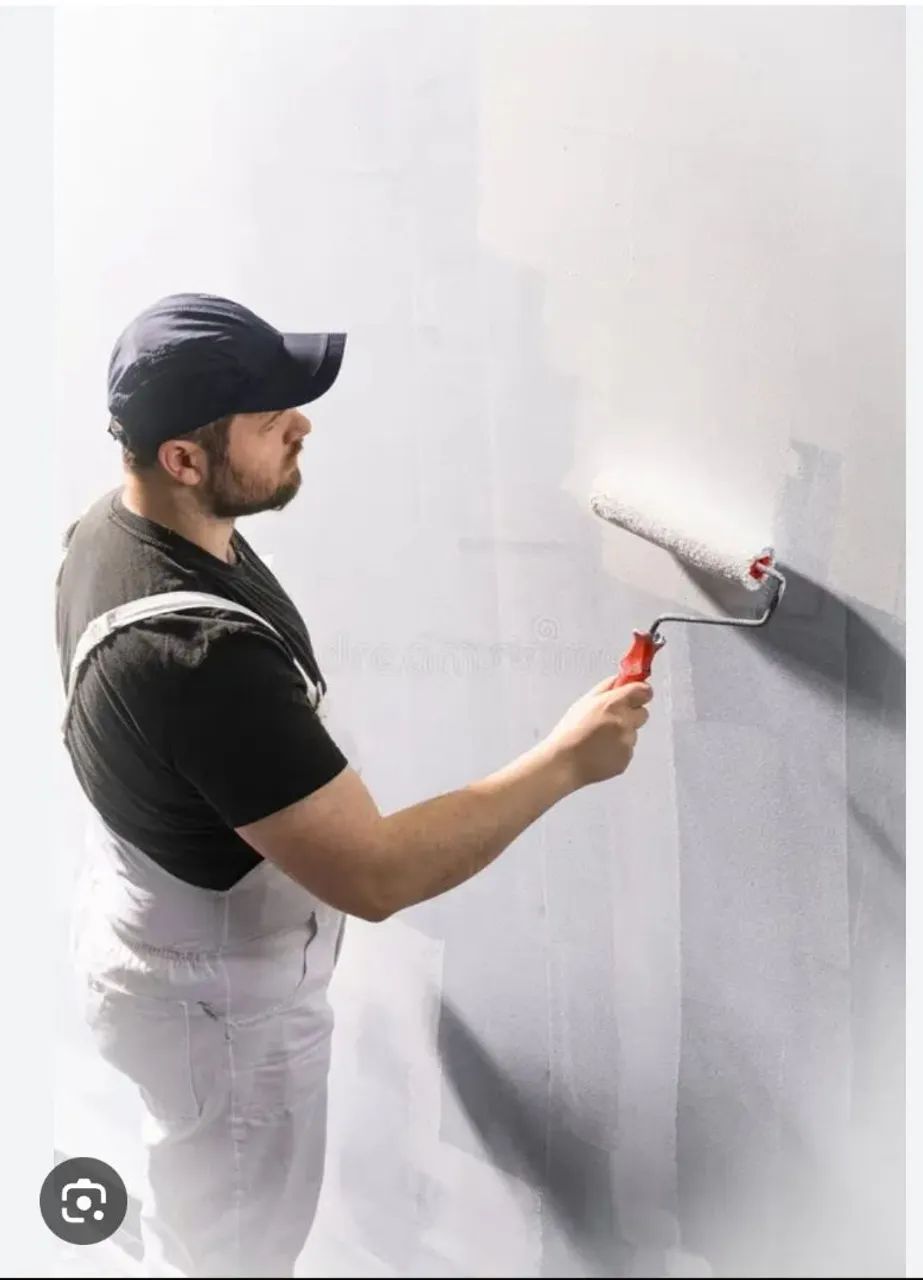 Pintor Profissional 