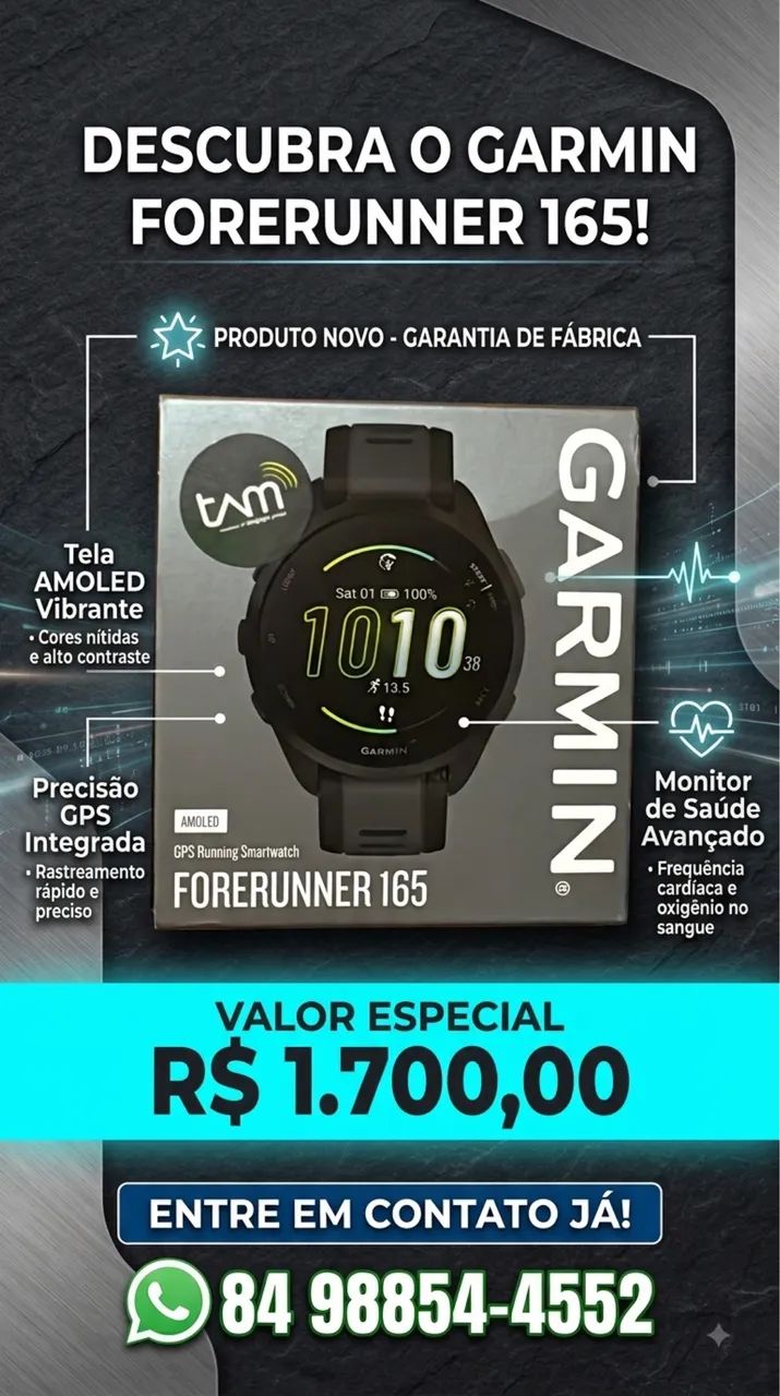 Garmin 165 