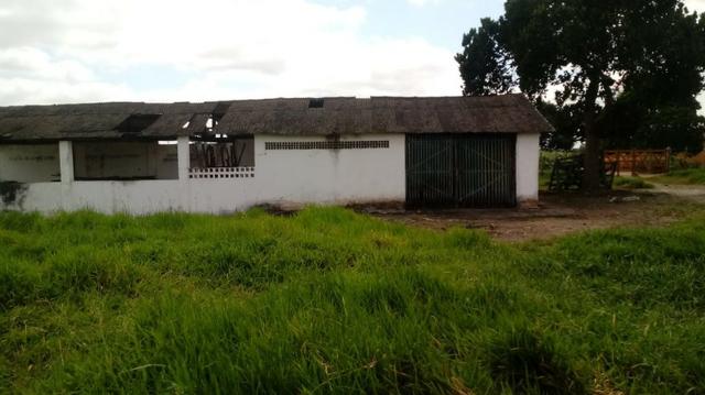 Sairé=Vend-25 mil por Hect. Fazenda com 200 Hectares-Pronta pra Criar Gado - Foto 15