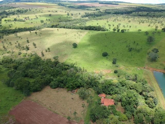 Fazenda 16,5 Alq - 50km de Goiânia - Hidrolândia - Entrada exclusiva - a 4 km da Rodovia - Foto 7