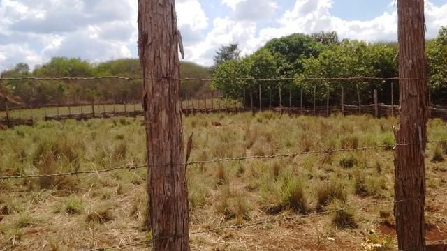 Terreno 8.200,0 m² - Foto 2