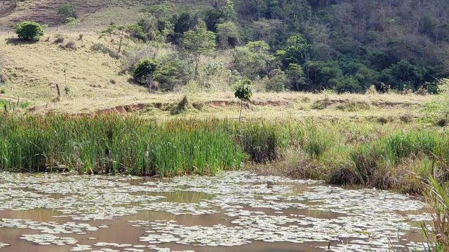 Fazenda 307 hectares localizada na Região sudene em Itambacuri, Leste de Minas Gerais - Foto 19