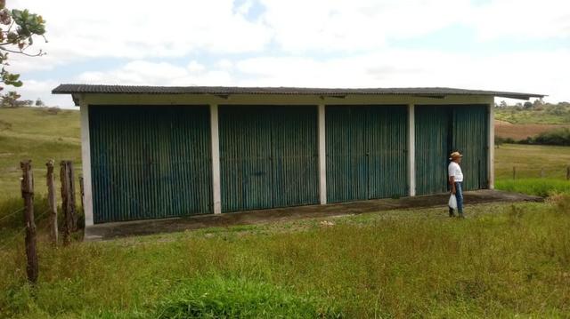 Sairé=Vend-25 mil por Hect. Fazenda com 200 Hectares-Pronta pra Criar Gado - Foto 8