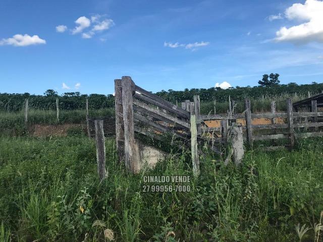 Fazenda em Nova Venécia ES com 25 alqueires (121 hectares) - Foto 15