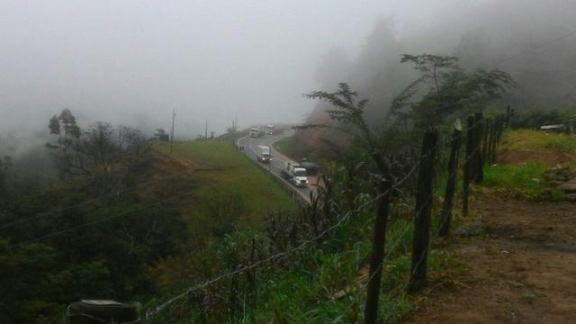 Galpão - Foto 4