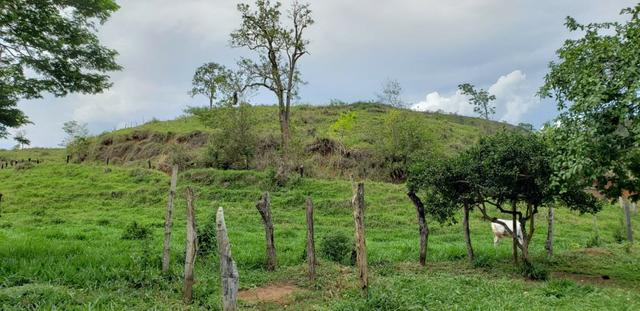Fazenda 307 hectares localizada na Região sudene em Itambacuri, Leste de Minas Gerais - Foto 7