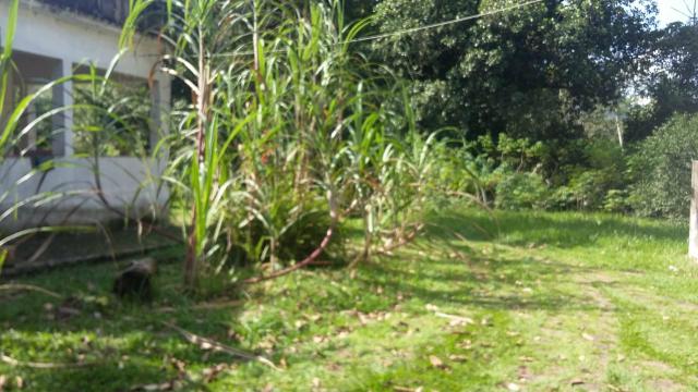 Lindo sítio em Guapimirim - Limoeiro oportunidade!!! - Foto 6