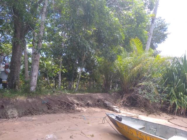 Venda Sítio as margens do Rio de Contas - Foto 3