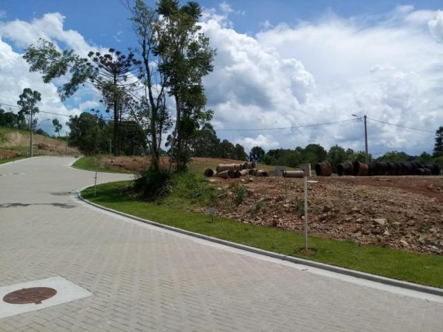 Terreno à venda, 596 m² por r$ 297.234,05 - prinstrop - gramado/rs - Foto 4