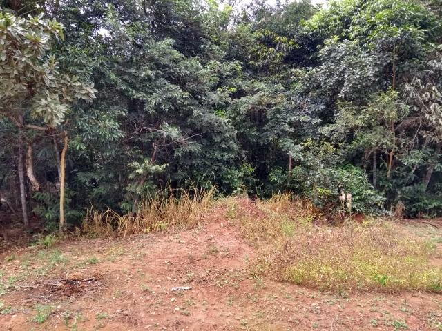 Chácara na beira do Rio Pirapitinga - Negócio de Oportunidade! - Foto 11